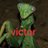 rouxonks's profile image