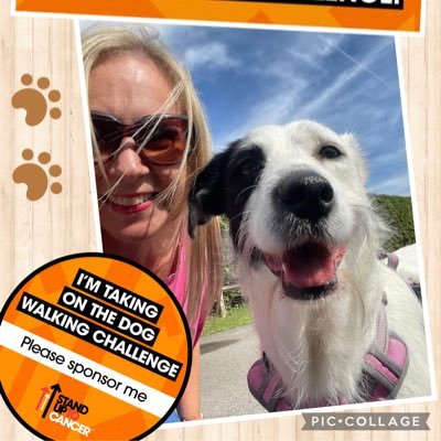 Mum • Wife • Dog Mum • Websites Officer • Body Shop Queen • Chocoholic