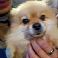 Mayde (@maydeeeeeeeee) 's Twitter Profile