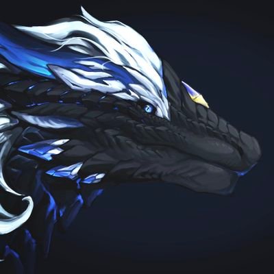 玄浪/Shira,a black dragon with thunder and a dragon amateur.