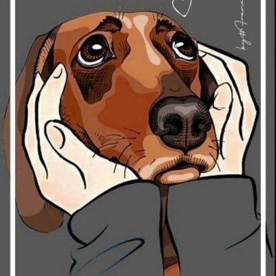 pati464's profile picture. 