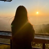 Sophia (@pametx) 's Twitter Profile