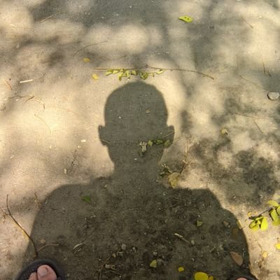 jIdmbMs532Ku8FP's profile picture. https://t.co/09zJJ9mZJe