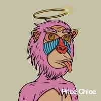 chloeprrice17's profile picture. Driving the defi revolution towards financial equality