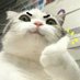 Riki Kudo (@riki_kudo) Twitter profile photo Riki Kudo (@riki_kudo) Twitter profile photo