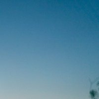 しがない (@xxx_undecided) Twitter profile photo