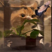 midnight dumpling 🥟 (@midnitedumpiing) 's Twitter Profile Photo midnight dumpling 🥟 (@midnitedumpiing) 's Twitter Profile Photo