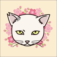 たにゃ(@kabukinoraneko) 's Twitter Profile Photo