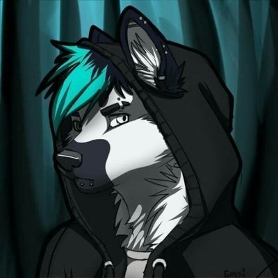 I into any type of music, I'm a furry/anime nerd. 
Please be polite and respectful of other people and to each other. Thanks!!!