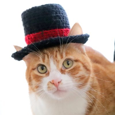 Top Hat for the Top CAT