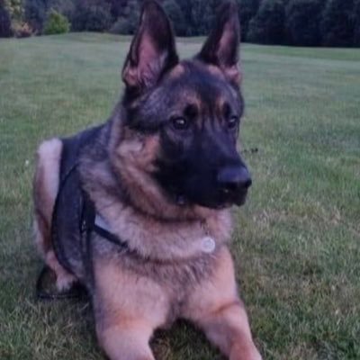Anthony46567493's profile picture. 