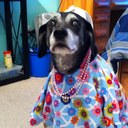 Abby Long - @itsAbbyDog - Twitter