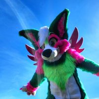 Melon Splash~🍉(@melon_corgo) 's Twitter Profile Photo