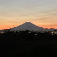 パル・プンテ (@pahupahuparu) Twitter profile photo