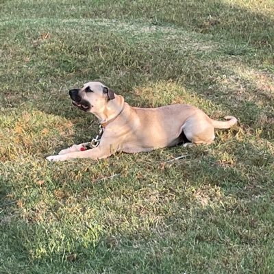 AndrewJ14071066's profile picture. Single looking for relationship