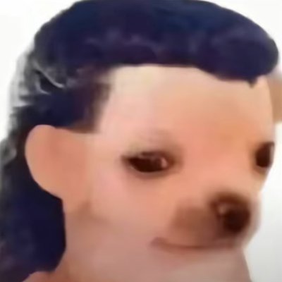 _vult0's profile picture. tropa do mané galinha / fr / 💍 amo minha noiva