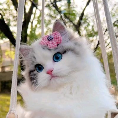 あなたは私が夢想家だと言うかもしれませんが、私だけではありません。いつかあなたも私たちに加わってくれることを願っています。そして世界は一つになって生きていくでしょう。
