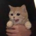 Mojca (@lynxbuddy) Twitter profile photo Mojca (@lynxbuddy) Twitter profile photo