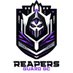 ReapersGuardESP (@reapersguardesp) Twitter profile photo ReapersGuardESP (@reapersguardesp) Twitter profile photo