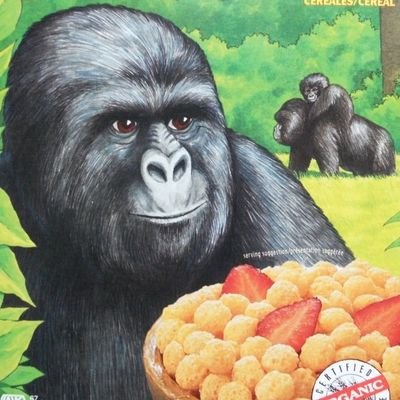 gorillacereals's profile picture. 