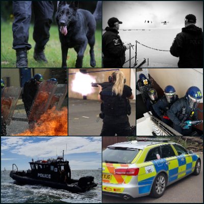 Dorset Police roads policing, firearms, marine, FSG, dogs, drones and operational planning teams. 

Not monitored 24/7. Do not report crimes here. 📞999 / 101