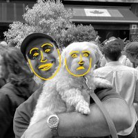 GregTheGreek.eth (@gregthegreek) 's Twitter Profile Photo GregTheGreek.eth (@gregthegreek) 's Twitter Profile Photo