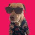 Soka Sands Creative (@sokasandsllc) Twitter profile photo Soka Sands Creative (@sokasandsllc) Twitter profile photo