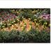 CT FlowerGarden Show (@ctflowergarden) Twitter profile photo CT FlowerGarden Show (@ctflowergarden) Twitter profile photo