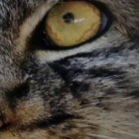 Michał Górka (@gorka_micha) 's Twitter Profile