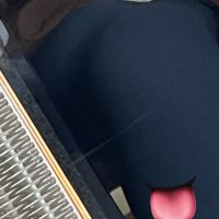 Angeleah Boyd (@angiewitdabooty) 's Twitter Profile