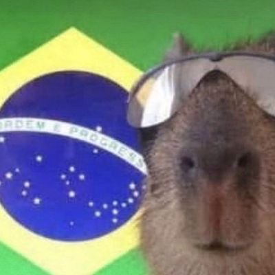 Oiê, eu sou o Alejandro e gosto de capivara