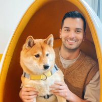 Joel Furtado (@joelyface_) Twitter profile photo