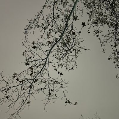 mo_chen9180's profile picture. 