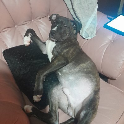 RobotStar666's profile picture. You don't want to know