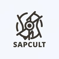 SAP Cult(@SAPMemes) 's Twitter Profile Photo