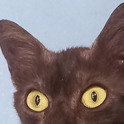 Van_Light9's profile picture. Rebrand is easier but the memories stay