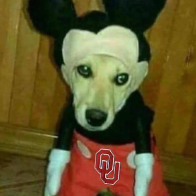 themuffinman373's profile picture. ou/thunder/chiefs/royals