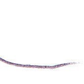 Power Bimbo (@power_bimbo) 's Twitter Profile