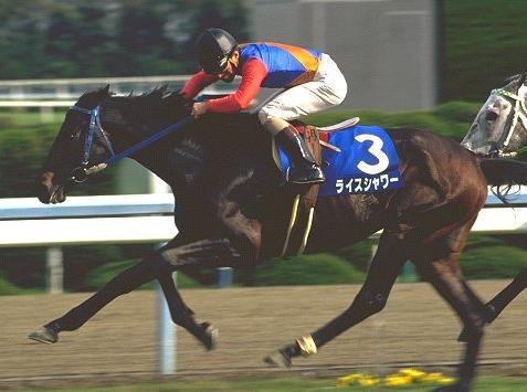 競馬(🐴が走っている姿)・音楽(浜田省吾さん/岡村孝子さん)・スポーツ観戦(野球/ラグビー/サッカー)が大好きです。