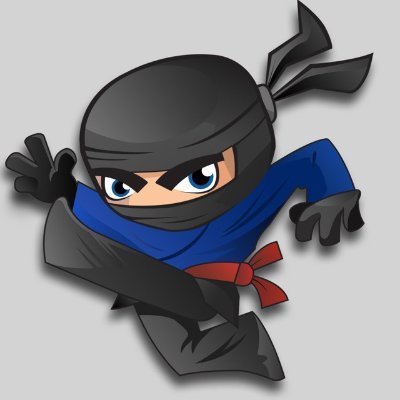 NinjaBoy_eth Profile Picture