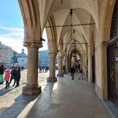 wawel_w7840599's profile picture. 