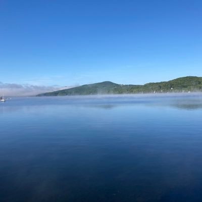 watchingthesurf's profile picture. 