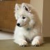 なな (@bycvq) Twitter profile photo なな (@bycvq) Twitter profile photo