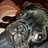 BigT822's profile image