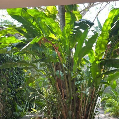 bonjour2603's profile picture. 