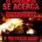 ANIMALXTEMPLO's profile image