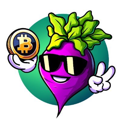 CryptoBeetsWise Profile Picture