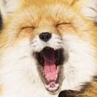 みみこさんのプロフィール画像