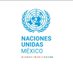 ONU México Profile picture