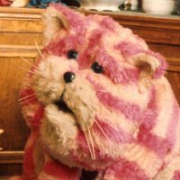 Rowan E Madden (@rowan_no) 's Twitter Profile